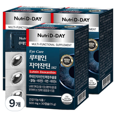 뉴트리디데이 아이케어 루테인 지아잔틴182, 30정, 9개