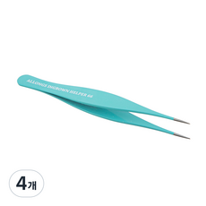 알롱 인그로운 헬퍼 66, 4개