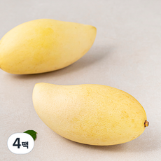 과일엔 태국산 골드 망고 2입, 700g, 4팩