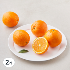 곰곰 미국산 네이블 오렌지, 720g(중과), 2개