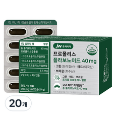 JW중외제약 프로폴리스 플라보노이드 40mg, 60정, 20개