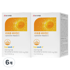 안국약품 리포좀 비타민C 분말 30p, 90g, 6개