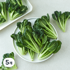 친환경 비타민, 5개, 150g