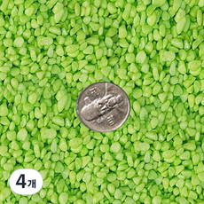 에스엔 칼라스톤 색돌 연두, 1kg, 4개