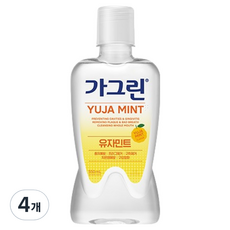 가그린 유자민트 구강세정제, 550ml, 4개