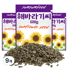 리프패럿 냠냠푸드 소동물 해바라기씨, 500g, 9개