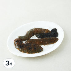 효성푸드주식회사 갯마을 남해안 해삼 (냉장), 3개, 150g