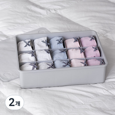 이즈리빙 칸칸칸 속옷 정리함 15칸, 그레이 + 반투명뚜껑, 2개