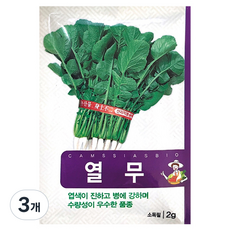 열무 씨앗, 3개 3개
