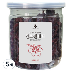아름다운정성 말린 건조 건크랜베리, 5개, 200g