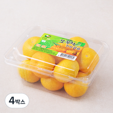 올레길감귤 GAP 인증 쪼꼴락 당도선별 한입 감귤, 500g, 4박스