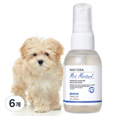페토세라 강아지 고보습 엉킴방지 저자극 미스트 모이스처 플러스 베이비파우더향, 50ml, 1개입, 6개