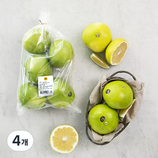 PSK 점보메로골드 자몽, 3kg, 4개