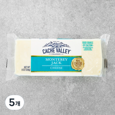 캐시밸리 몬테레이 잭, 226g, 1개입, 5개