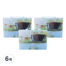 알로데 아트 아코디언 13포켓 A4 서류 정리함 33 x 26 x 3 cm, 03 아코디언, 6개