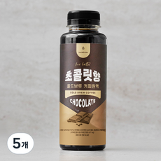 핸디엄 초콜릿향 콜드브루 커피원액, 300ml, 5개