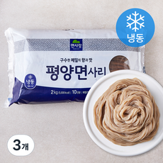 면사랑 평양면사리 10인분 (냉동), 2kg, 3개