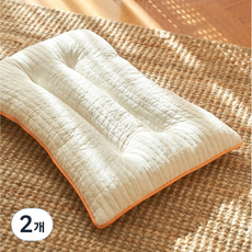 elim korea 可水洗低款涼感雙面枕, 橘色, 2個