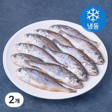 품질인증 초록바다 영광 굴비 (냉동), 650g(10미), 2개