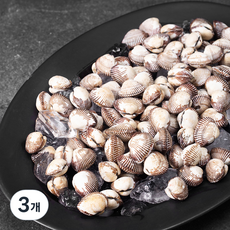 남해안 산지직송 생물 꼬막 (냉장), 1.2kg, 3개