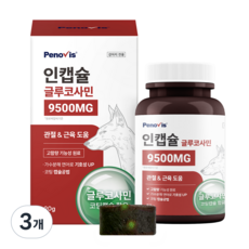 페노비스 강아지 인캡슐 글루코사민 영양제, 90g, 뼈/관절강화, 3개