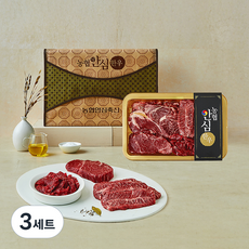 농협안심한우 1등급 채반 구이 정육 선물세트 1호 등심300g + 안심200g + 부채살200g + 국거리300g, 3세트