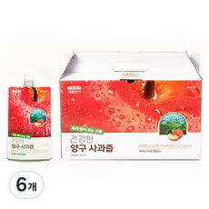 제철장터 양구 사과즙, 1L, 6개