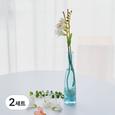 아스파시아 하와이 해변 알로하꽃 디퓨저 세트 화이트, 양재꽃시장, 100ml, 2세트