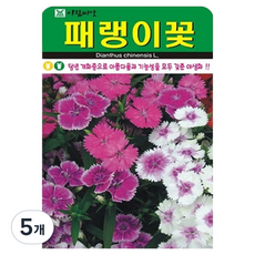 아람종묘 패랭이 꽃 씨앗 500p, 5개