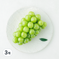 모아바이오팜 고당도 샤인머스캣, 3개, 1kg