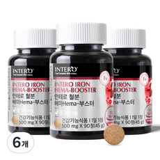 INTERO 鐵質 Hema - 增強劑 45克, 6個, 90錠