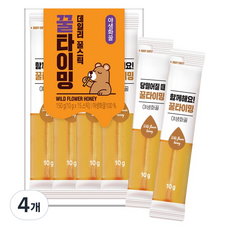 녹차원 꿀타이밍 야생화 꿀스틱 15p, 150g, 4개