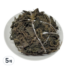 네이처데이 건취나물, 100g, 5개