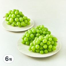 다조은 비파괴당도선별 샤인머스캣, 1.5kg, 6개