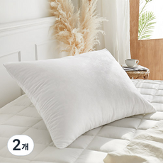 쉬즈홈 지퍼형 항균 엠보베개솜, 화이트, 2개