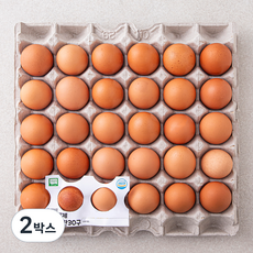 조인 무항생제 인증 신선 대란 1560g, 30구, 2박스