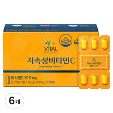 바이탈프로그램 지속성 비타민C 510 30g, 30정, 6개
