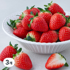 충남오감 논산 GAP 설향 딸기, 800g(대과), 3개