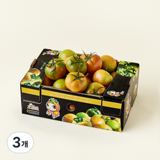 지리적표시 인증 좋은농산 짭짤이 토마토, 1.5kg, 3개