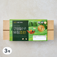 애월아빠들 무항생제 인증 재래 토종 유정초란 320g, 3개, 10구