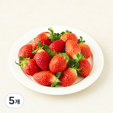 무농약 인증 논산 한단 딸기 대과, 500g, 5개