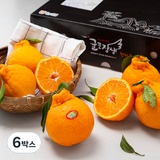 귤로장생 당도선별 한라봉세트, 3kg(10~15입), 6박스