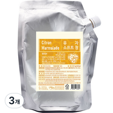 딜라잇가든 유자 소프트청, 1kg, 3개