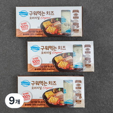 덴마크 구워먹는 치즈, 125g, 1개입, 9개