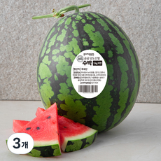 곰곰 당도선별 수박, 4kg 이상, 3개