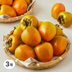 제이드가든 후숙해서 먹는 대봉감, 3개, 4.5kg(소과, 20~26입)