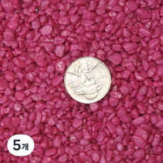 에스엔 칼라스톤 색돌 분홍, 1kg, 5개