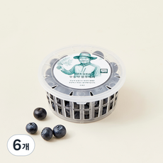 이광호 농부의 무농약 블루베리, 100g(대과), 6개