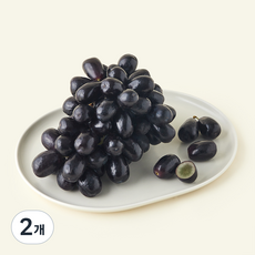 선우 칠레산 씨없는 블랙포도, 2개, 900g