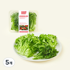 원에이커팜 무농약 인증 터스칸믹스, 100g, 5개, 1개입